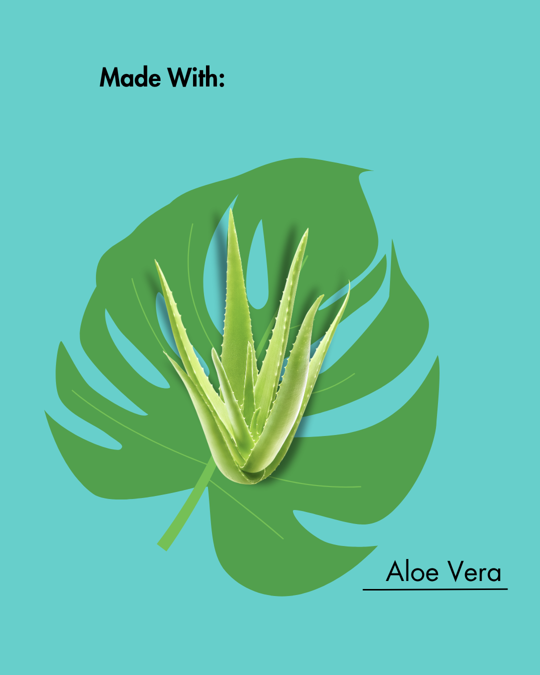 Planta de aloe vera sobre una hoja verde con el texto "Made With: Aloe Vera" sobre fondo verde azulado.