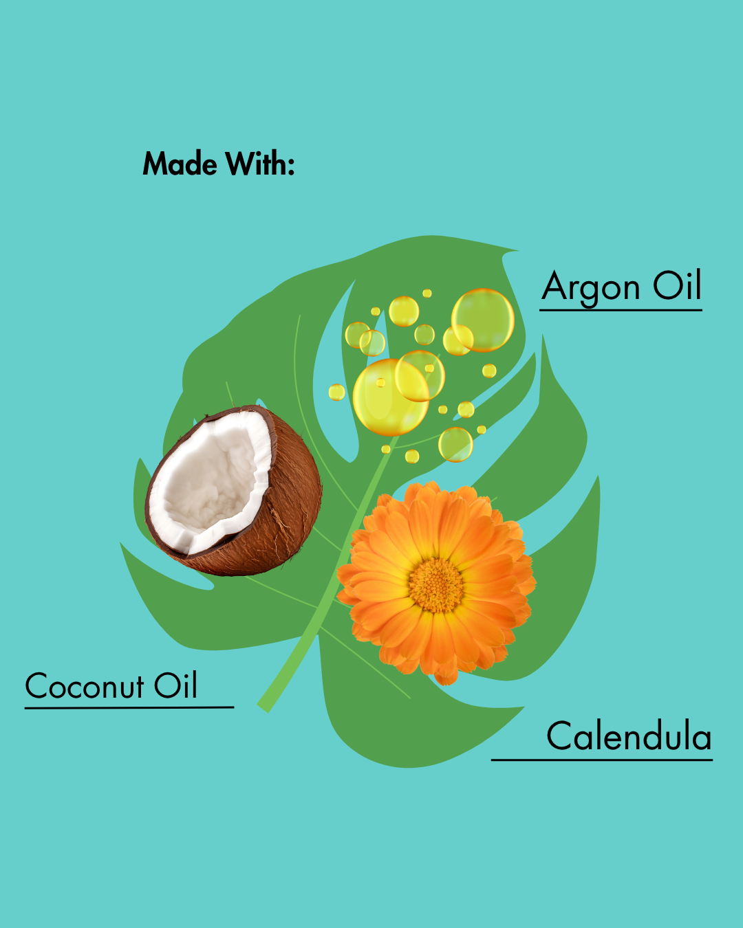 Etiqueta de producto con coco, flor de caléndula y aceite de argán sobre fondo verde azulado