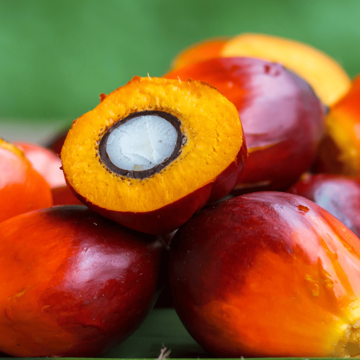 Primer plano de un fruto de palmera con una sección cortada que revela su interior.