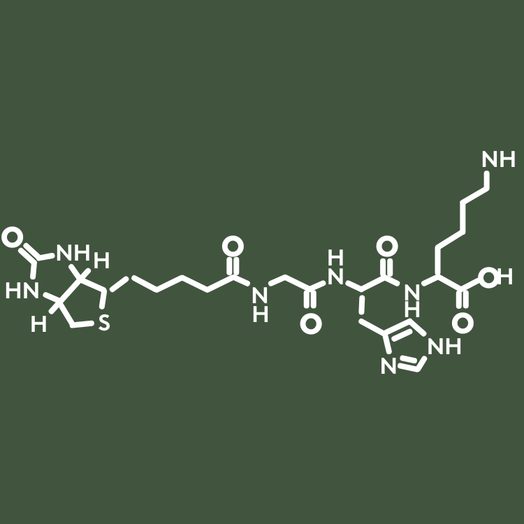 Imagen en primer plano de la molécula Biotinoyl Tripeptide-1, conocida por fortalecer los folículos pilosos, reducir la caída del cabello y favorecer el crecimiento de un cabello más grueso.