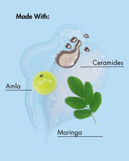 Diagrama de Amla, Moringa y Ceramidas con fondo azul