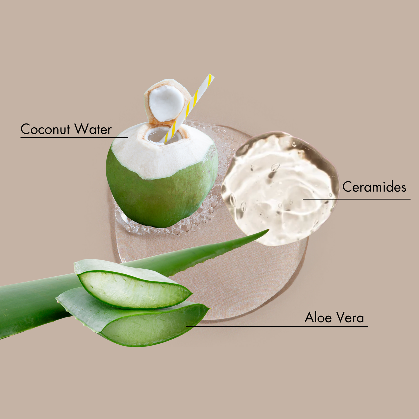 Agua de coco