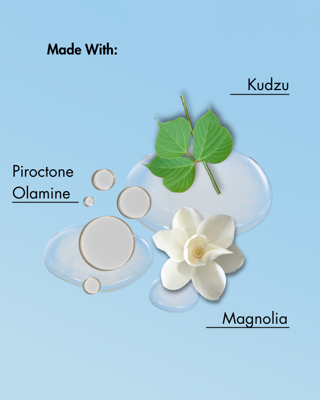 Ingredientes del producto mostrados sobre un fondo azul claro con kudzu, piroctona olamina y magnolia.