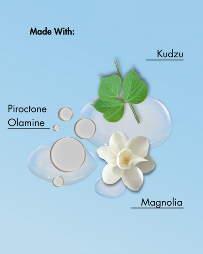 Ingredientes del producto mostrados sobre un fondo azul claro con kudzu, piroctona olamina y magnolia.